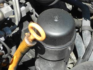 Oil Filter, Oil Drain, Oil Pan